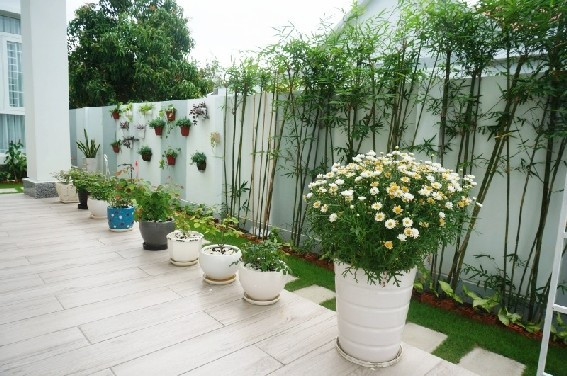 Khoảng sân thoáng mát với nhiều cây và hoa.