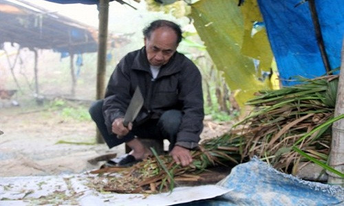 Mường Lống được ví như Sa Pa, Đà Lạt của miền Trung