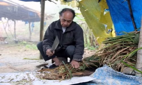 Mường Lống được ví như Sa Pa, Đà Lạt của miền Trung