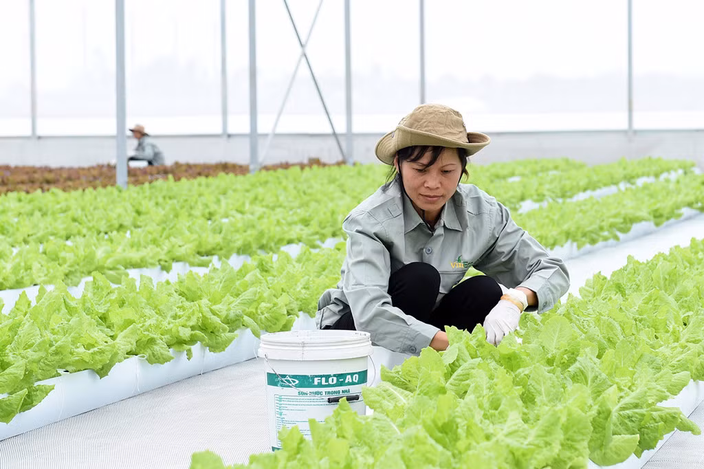 Nhung chinh sach noi bat co hieu luc tu thang 8/2018-Hinh-3