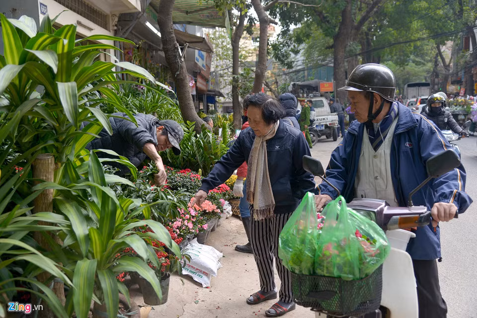 Ông bà Thìn (Thụy Khuê, Hà Nội) cho biết năm nào vào thời gian này cũng đi mua cây cảnh. “Trước sau gì cũng phải mua, mua sớm cho nhà có không khí Tết”, ông Thìn chia sẻ.