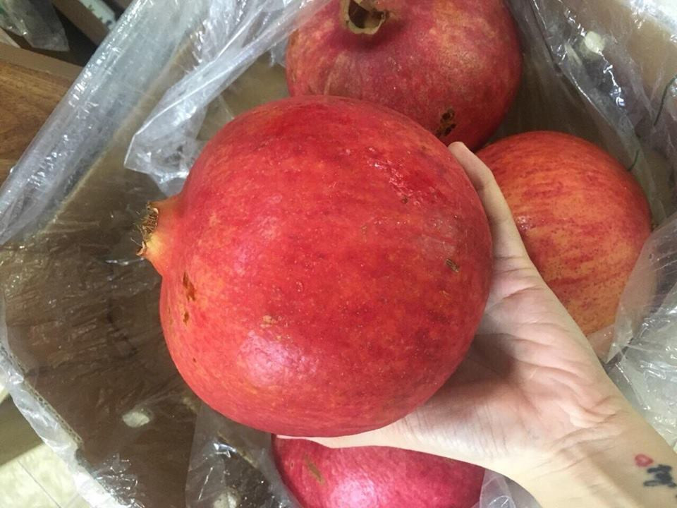 Tuy nhiên, có loại lựu Peru vip nặng tới 1kg/quả. Ảnh: FB Xuan Thu Dang.