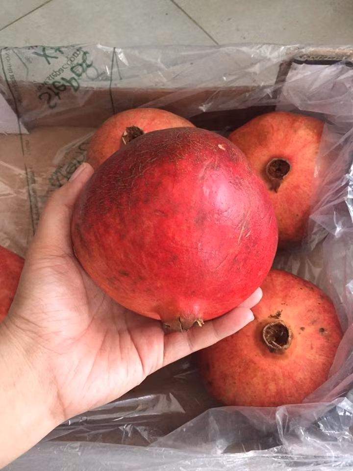 Lựu Peru trái to, vỏ màu đỏ tươi. Ảnh: FB Lan Pro.