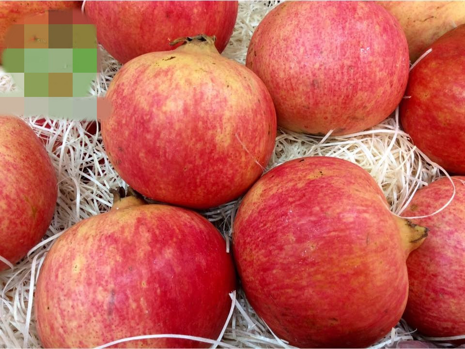 Mùa lựu Peru rộ nhất vào khoảng tháng 5, tháng 6. Do đó, khách hàng thường tranh thủ mua về ăn vì sợ hết mùa. Ảnh: FB Giáng Kều Tô.