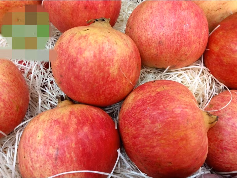 Mùa lựu Peru rộ nhất vào khoảng tháng 5, tháng 6. Do đó, khách hàng thường tranh thủ mua về ăn vì sợ hết mùa. Ảnh: FB Giáng Kều Tô.