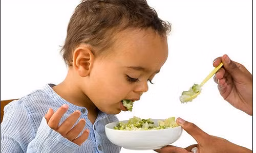 Hầu hết trẻ em rất kén chọn khi ăn và từ chối ăn bất cứ thứ gì lành mạnh vì chúng không ngon. Vì vậy, với tư cách là cha mẹ, chúng ta phải giám sát chặt chẽ thói quen ăn uống và đảm bảo con ăn đủ rau xanh, trái cây, rau quả và sữa để cơ thể của chúng đủ mạnh để chống lại sự phát triển của tế bào ung thư.
