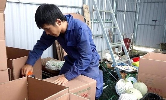 Ưu điểm của việc trồng dưa trong nhà kín là côn trùng không xâm nhập được, sản phẩm đảm bảo chất lượng, an toàn với người tiêu dùng. Ảnh: Baonghean.