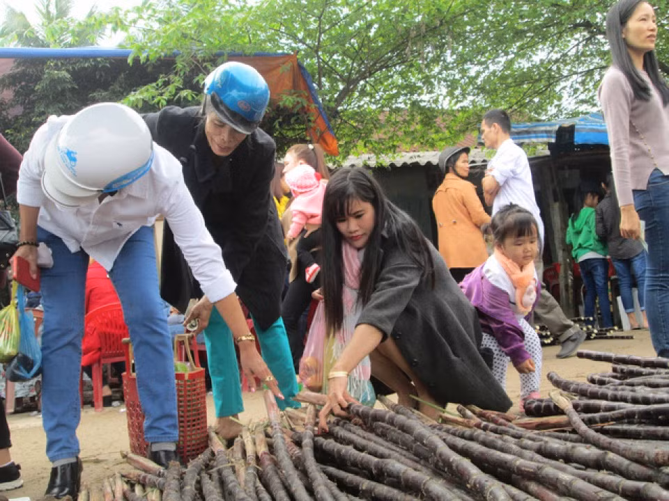 Bên cạnh trầu cau, mía cũng là hàng hóa chiếm lượng lớn trong phiên chợ. Ảnh: Baoquocte.