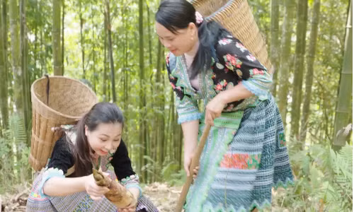 Công việc tìm và đào măng vầu không hề đơn giản. Họ phải vào những bụi rậm, tìm gốc măng và nhìn quanh tìm khe đất nứt, nơi có những đọt măng non còn nằm ủ trong đất. Ảnh: Nongnghiepsach.