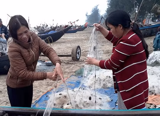 Khi cập bến, thuyền nào cũng đầy ắp những mẻ cá tươi đang còn mắc lưới. Ảnh: NLĐ.