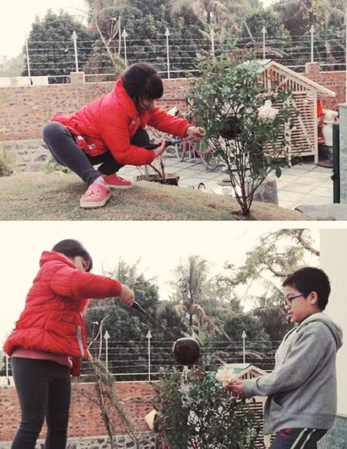 Lối đi ra cổng gây ấn tượng với viên sỏi, đá to cộng với bồn cây nhỏ đẹp mắt. Ảnh: Giadinhxahoi.