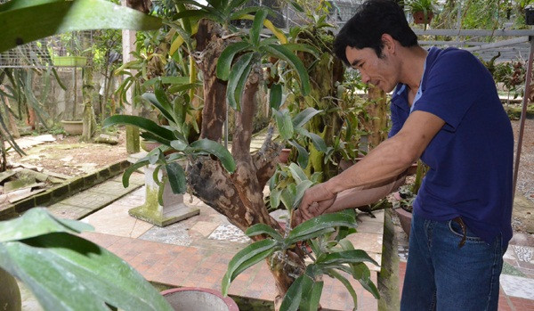 Hiện, mỗi giò lan, anh Long bán từ 100.000 đến 10 triệu đồng. Ảnh: Baohatinh.