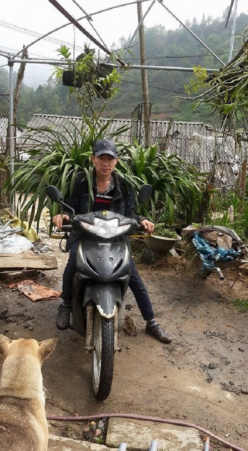 Những chậu lan khủng anh Phương mất 4 - 5 năm chăm sóc có giá từ 20 - 80 triệu đồng/chậu. Ảnh: Giadinhvietnam.