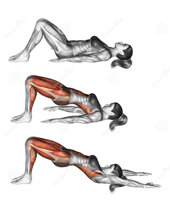 Động tác Brutge Glute không những giúp cho vòng 3 săn chắc nở nang, vòng 2 thon gọn mà còn có những tác dụng vô cùng tuyệt vời. Đánh bay chứng đau lưng, nhức mỏi phiền toái, giảm các cơn đau đầu gối và bạn sẽ có dáng đứng cao hơn…