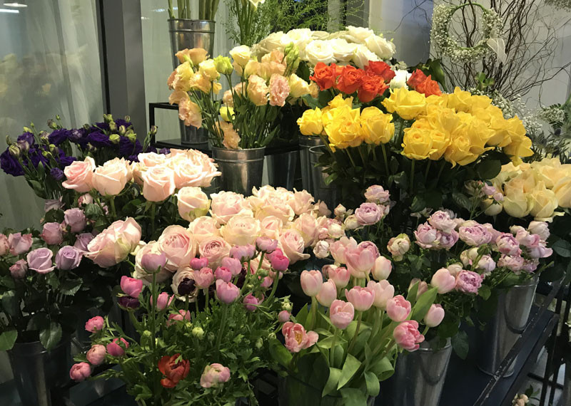 Nhiều chủ hàng cho biết các loại hoa hồng ngoại đã hết dù chưa đến ngày 8/3