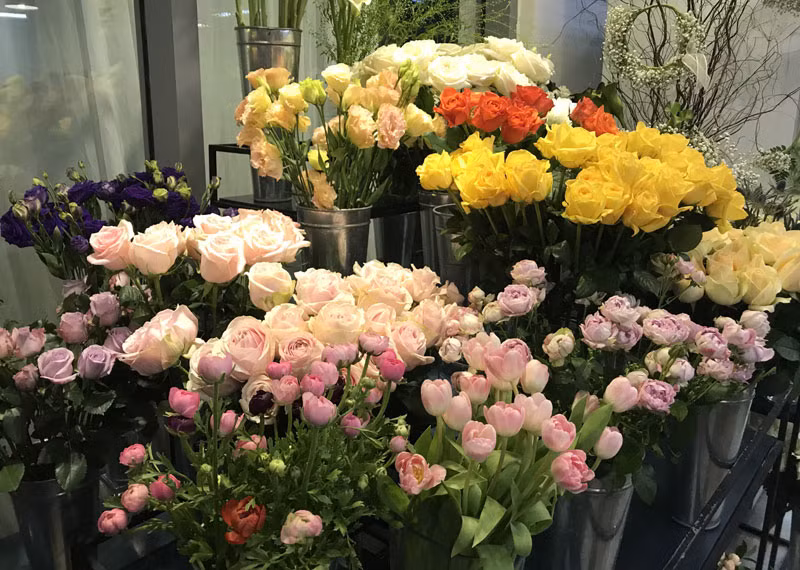 Nhiều chủ hàng cho biết các loại hoa hồng ngoại đã hết dù chưa đến ngày 8/3