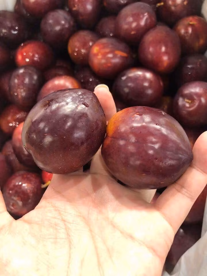 Hiện, mận Úc nhập khẩu được rao bán từ 130.000 - 300.000 đồng/kg. Ảnh: FB Nguyễn Minh Nhật.