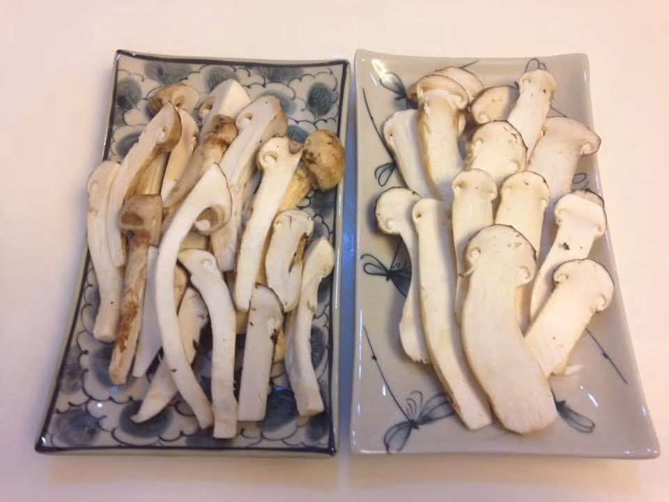 Loại nấm khô thường được nhà hàng cao cấp và khách sạn 5 sao đặt mua chế biến các món ăn. Ảnh: FB Tuấn Lê.