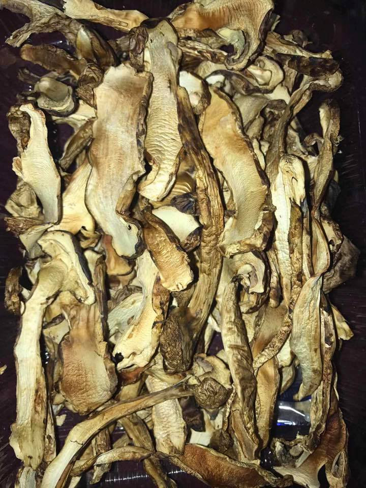 Ngoài nấm tươi, trên thị trường còn có nấm Tùng nhung khô. Tuy nhiên, loại nấm khô hàng dồi dào hơn, giá dao động từ 35-40 triệu đồng/kg. Ảnh: FB Tuấn Lê.