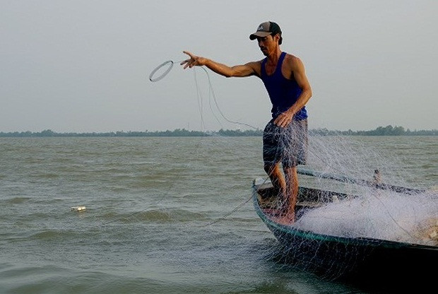 Tùy theo con nước mà người dân thả lưới từ 2-3 lượt. Ảnh: VOV.