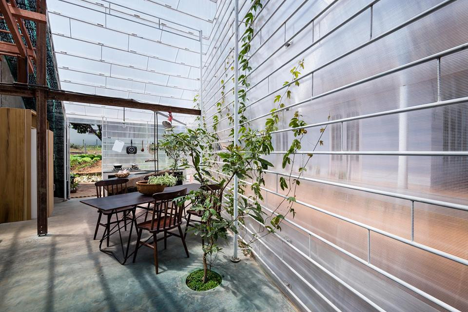 Lớp tường kính cho không gian nhà bếp ngập ánh sáng.