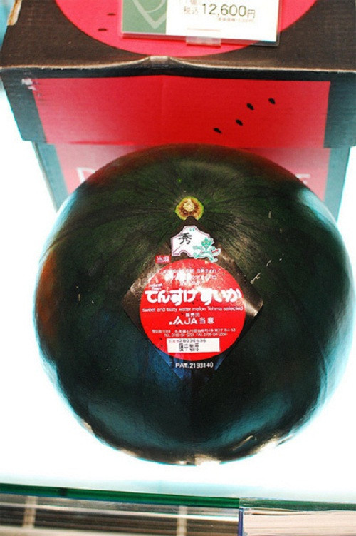 Dưa hấu Densuke cũng là một trong những mặt hàng xa xỉ nhất trong cửa hàng Sembikiya với giá 127 USD.