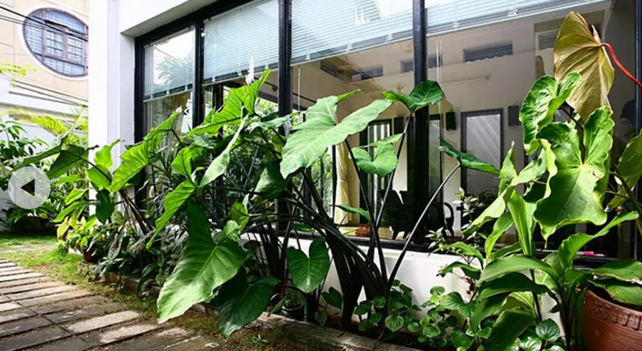 Lối vào ngôi nhà là những viên đá sắp xếp một cách tự nhiên tạo cảm giác thân thuộc.