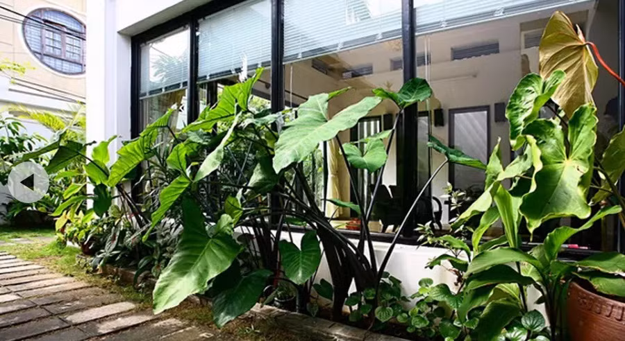 Lối vào ngôi nhà là những viên đá sắp xếp một cách tự nhiên tạo cảm giác thân thuộc.