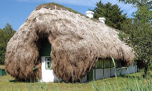 Nằm trên một hòn đảo ngoài khơi ở Đan Mạch, ngôi nhà phủ kín rong biển này là kiến trúc truyền thống của cư dân nơi đây.