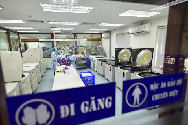 Máu phải được xử lý trong vòng 24 giờ kể từ khi hiến máu, do đó, vào những đợt cao điểm hiến máu, dược sĩ phải đi làm cả thứ 7 và chủ nhật. Nếu để quá 24 giờ, một số thành phần của máu sẽ bị giảm chất lượng (chẳng hạn như tiểu cầu), không thể sử dụng được nữa.