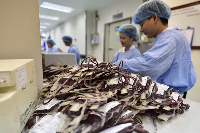 Hiện Viện Huyết học - Truyền máu Trung ương đang kêu gọi người dân nhóm máu O đến hiến máu để tăng lượng dự trữ.