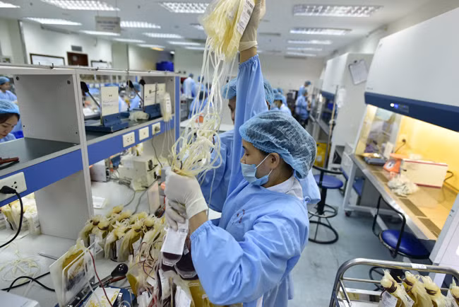 Sau đó, máu được đưa vào trong khu vực điều chế. Trung bình, các dược sĩ tại Khoa Điều chế các thành phần máu phải xử lý tới 1500 - 1600 đơn vị máu/ngày, tuy nhiên chỉ đủ dùng cho một ngày vì phải cung cấp đi 150 bệnh viện khác nhau, mặt khác nhu cầu của người bệnh cũng rất lớn.