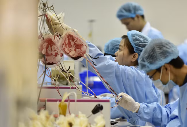 Những túi huyết tương đã được tách thành công. Có gần 100 kỹ thuật viên, nhân viên làm việc tại đây.