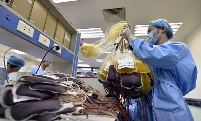 Túi máu ban đầu thu về sẽ tách thành 8 chế phẩm đầu ra như: Hồng cầu, bạch cầu, tiểu cầu, huyết tương tươi, huyết tương thường, máu toàn phần tách nhỏ, và 1 số chế phẩm đặc biệt khác.