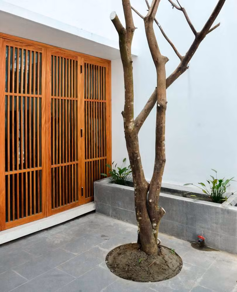 Dành một diện tích nhỏ phía trước để làm sân, ngôi nhà 3 tầng trở nên tách biệt với đường phố.