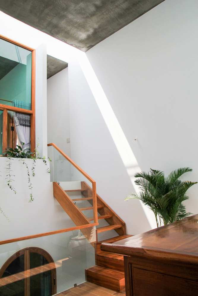 Không gian chung giữa tầng 2 và tầng 3 trồng nhiều cây xanh.