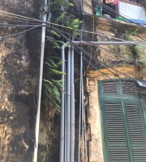 Tường của căn biệt thự đã bị bong tróc, mọc đầy rêu xanh. Ảnh: Infonet.