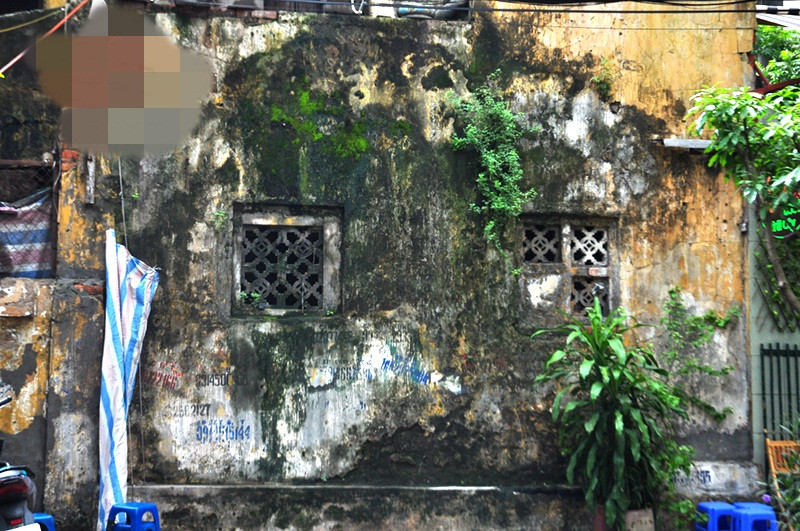 Bức tường hóa rêu phong trên phố Trần Quốc Toản. Ảnh: Annt.