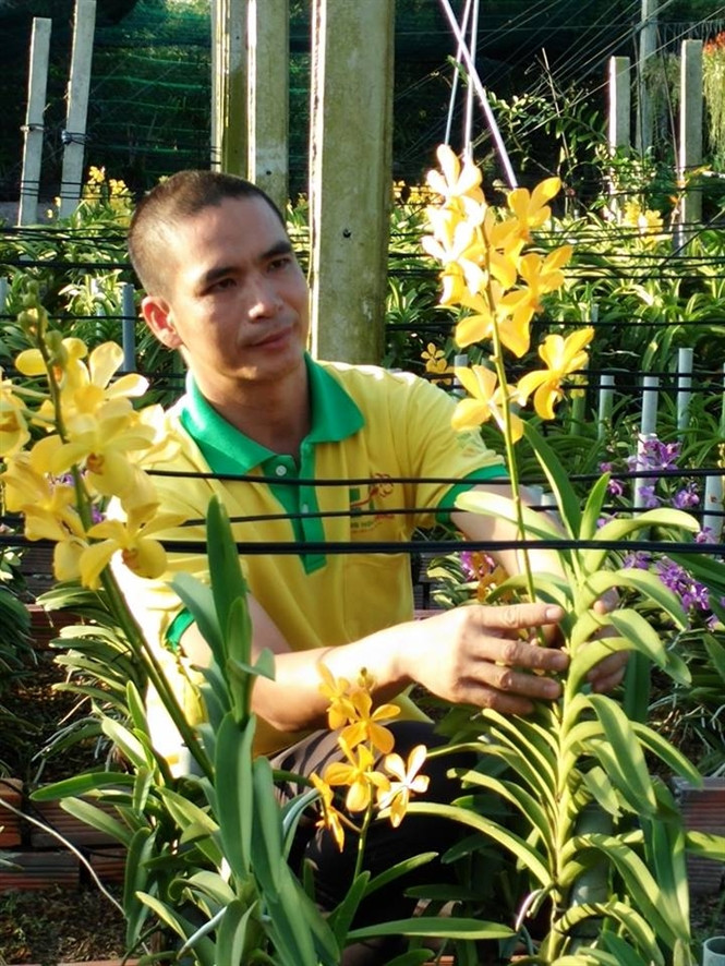Vườn của anh Hòa có hầu hết các loại giống lan quý hiếm trên thị trường. Ảnh: Phanbonla.