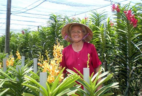 Dù đã ngoài 70 tuổi nhưng bà Nguyễn Thị Bé (ấp Bến Đò 2, xã Tân Phú Trung, Củ Chi, TP HCM) vẫn còn giàu nhiệt huyết với nghề trồng lan. Hiện bà Bé là chủ vườn lan mokara Minh Dũng rộng 10.000m2. Ảnh: Dân Việt.
