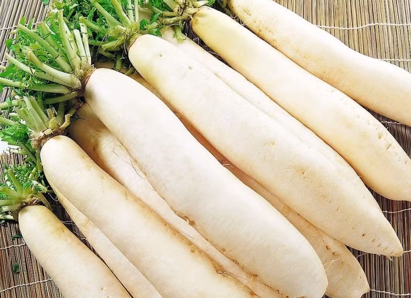 Nên chọn củ cải trắng còn nguyên cuống và rễ, đặc biệt cuống còn tươi mới. Đó là những củ cải trắng vừa được thu hoạch. Ảnh: Hatgiongthegioi.