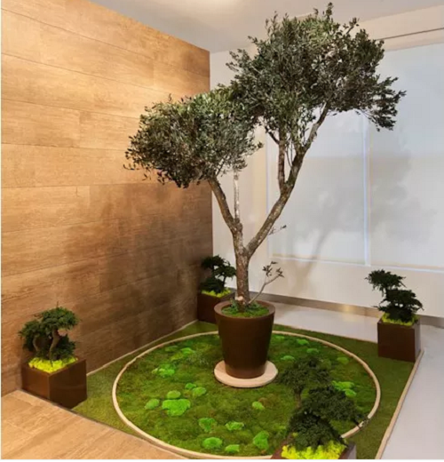 Khu vườn nhỏ tách biệt với một cây cao chủ đạo.