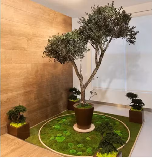 Khu vườn nhỏ tách biệt với một cây cao chủ đạo.