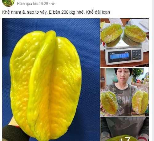 Khác với khế ngọt Việt Nam bán đầy chợ với giá 10.000 - 20.000 đồng/kg, khế Đài Loan được các cửa hàng rao bán 200.000 đồng/kg. Ảnh chụp màn hình FB.