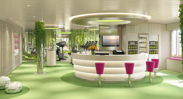 Bên trong du thuyền có 17 nhà hàng, 23 quầy bar, sòng bạc, tường leo núi, công viên nước, sân golf mini, phòng tập gym và spa.