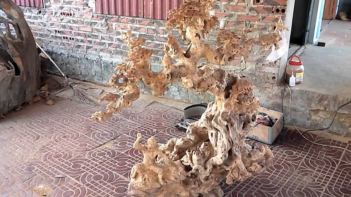 Bonsai gỗ lũa siêu độc đáo. Ảnh: Youtube.