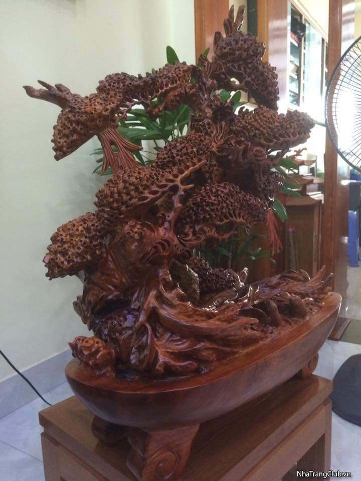 Tùng bonsai với hình dáng và đường nét tinh tế đến từng chi tiết. Ảnh: Nhatrangclub.