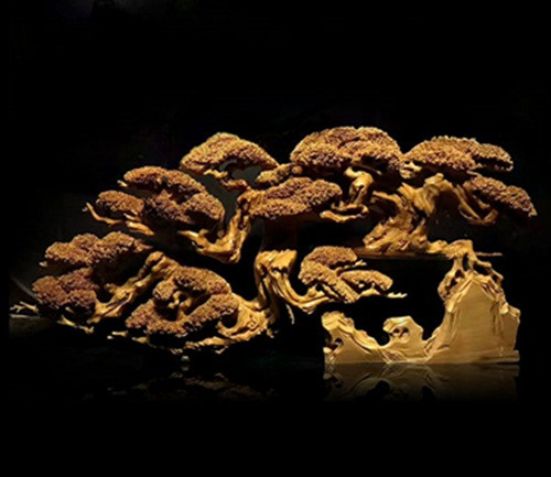 Lũa bonsai gỗ tùng bách ngàn năm tuổi vô cùng quý hiếm. Ảnh: Noithatgoquy.