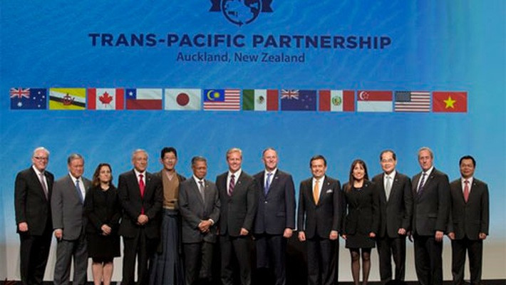 Tháng 11/2008, Việt Nam, Úc và Peru bày tỏ ý muốn tham gia đàm phán và nâng tổng số thành viên lên 8. Ảnh: Vneconomy.