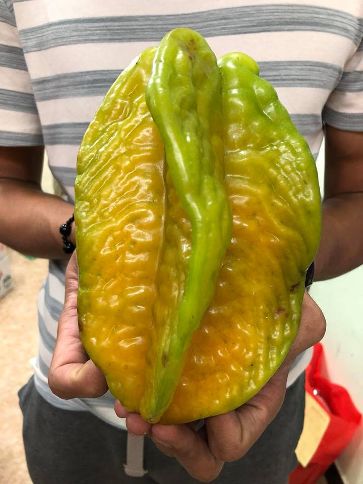 Chính sự khan hàng đôi lúc đã đẩy giá khế Đài Loan lên tới 300.000 đồng/kg. Ảnh: FB Hoa Quả Ưu Đàm.